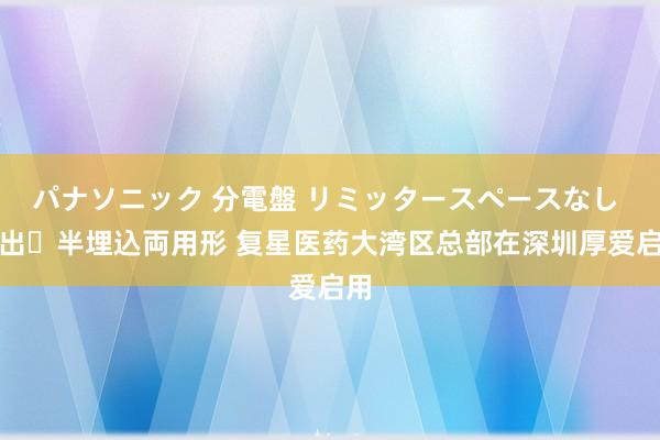 パナソニック 分電盤 リミッタースペースなし 露出・半埋込両用形 复星医药大湾区总部在深圳厚爱启用