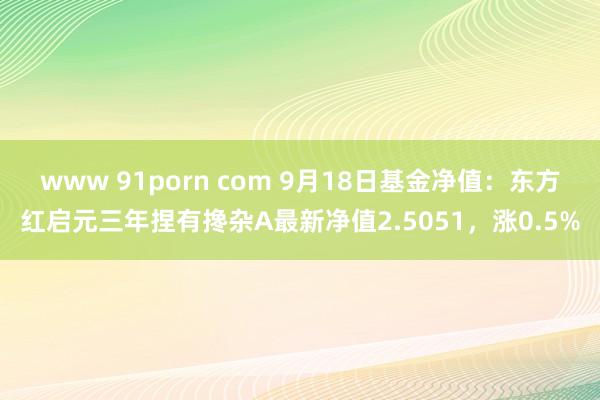 www 91porn com 9月18日基金净值：东方红启元三年捏有搀杂A最新净值2.5051，涨0.5%