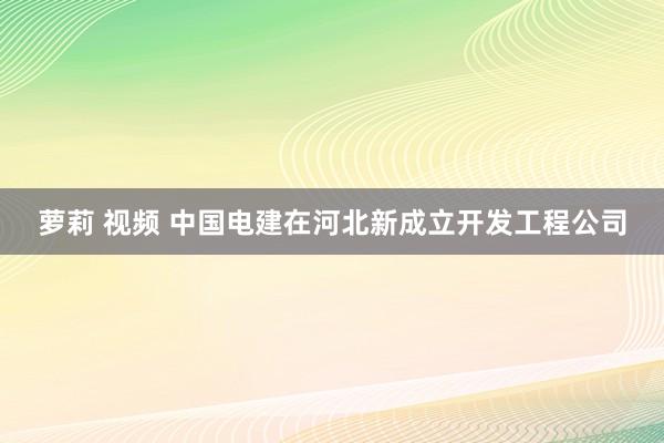 萝莉 视频 中国电建在河北新成立开发工程公司