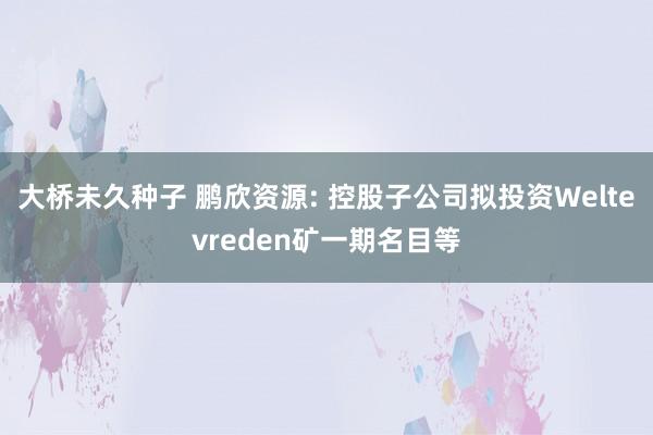 大桥未久种子 鹏欣资源: 控股子公司拟投资Weltevreden矿一期名目等