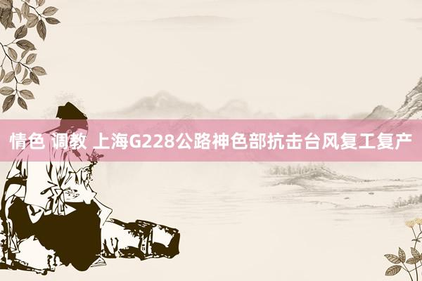 情色 调教 上海G228公路神色部抗击台风复工复产