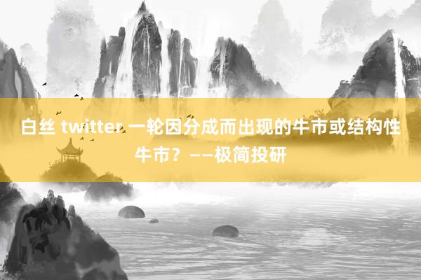 白丝 twitter 一轮因分成而出现的牛市或结构性牛市？——极简投研