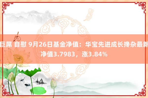 巨屌 自慰 9月26日基金净值：华宝先进成长搀杂最新净值3.7983，涨3.84%