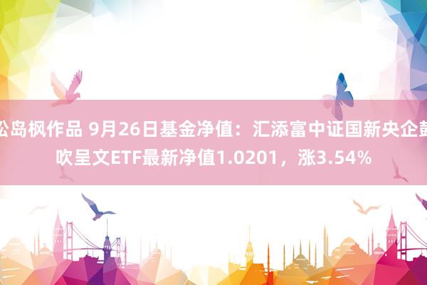 松岛枫作品 9月26日基金净值：汇添富中证国新央企鼓吹呈文ETF最新净值1.0201，涨3.54%