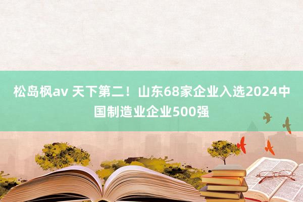 松岛枫av 天下第二！山东68家企业入选2024中国制造业企业500强