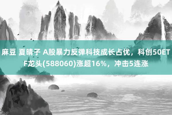 麻豆 夏晴子 A股暴力反弹科技成长占优，科创50ETF龙头(588060)涨超16%，冲击5连涨