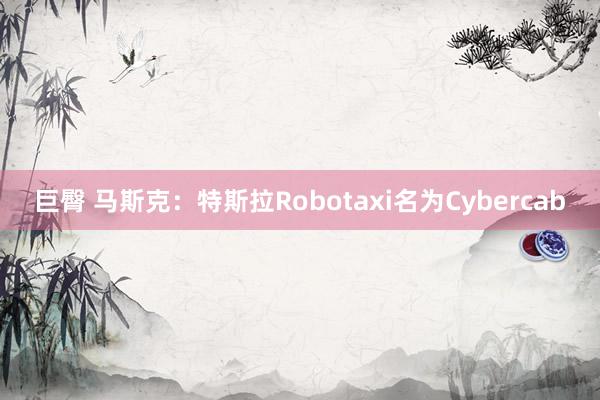 巨臀 马斯克：特斯拉Robotaxi名为Cybercab