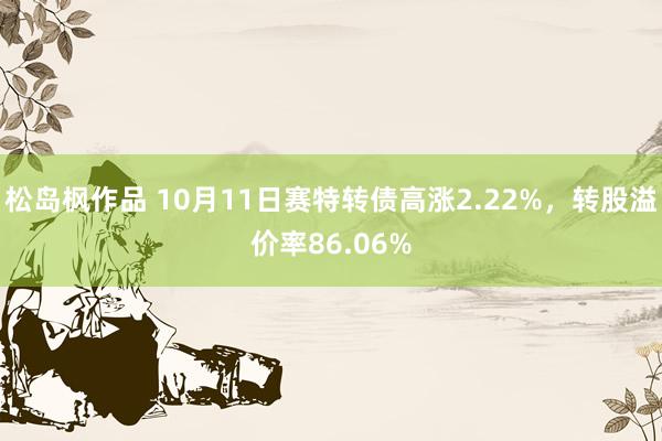 松岛枫作品 10月11日赛特转债高涨2.22%，转股溢价率86.06%