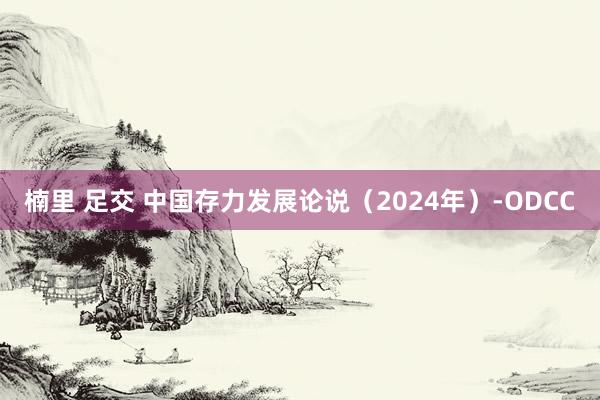 楠里 足交 中国存力发展论说（2024年）-ODCC