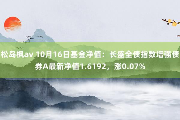 松岛枫av 10月16日基金净值：长盛全债指数增强债券A最新净值1.6192，涨0.07%