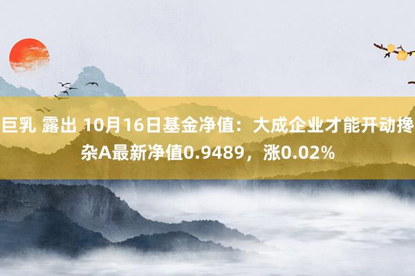 巨乳 露出 10月16日基金净值：大成企业才能开动搀杂A最新净值0.9489，涨0.02%