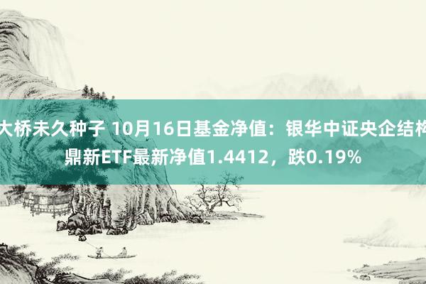 大桥未久种子 10月16日基金净值：银华中证央企结构鼎新ETF最新净值1.4412，跌0.19%