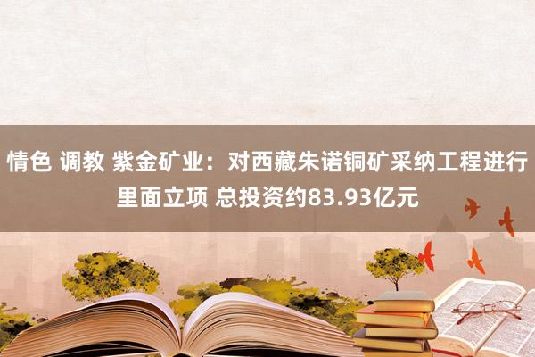 情色 调教 紫金矿业：对西藏朱诺铜矿采纳工程进行里面立项 总投资约83.93亿元