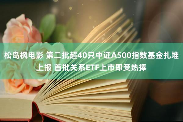 松岛枫电影 第二批超40只中证A500指数基金扎堆上报 首批关系ETF上市即受热捧