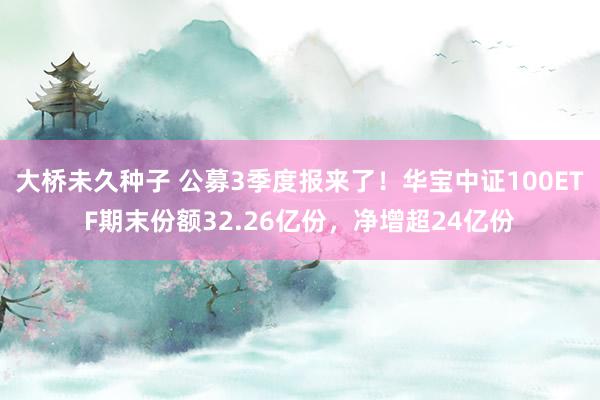 大桥未久种子 公募3季度报来了！华宝中证100ETF期末份额32.26亿份，净增超24亿份