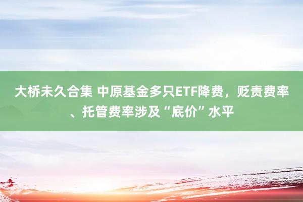 大桥未久合集 中原基金多只ETF降费，贬责费率、托管费率涉及“底价”水平