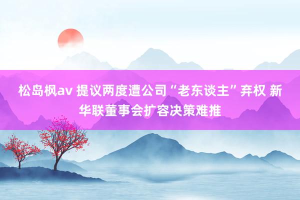 松岛枫av 提议两度遭公司“老东谈主”弃权 新华联董事会扩容决策难推