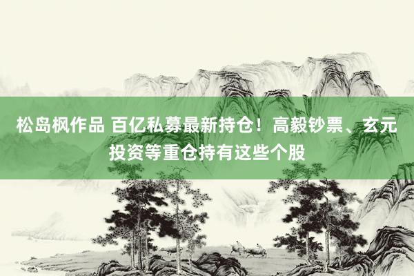 松岛枫作品 百亿私募最新持仓！高毅钞票、玄元投资等重仓持有这些个股