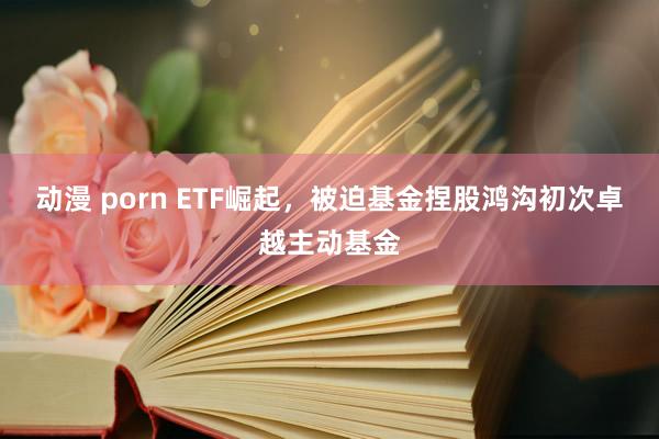 动漫 porn ETF崛起，被迫基金捏股鸿沟初次卓越主动基金