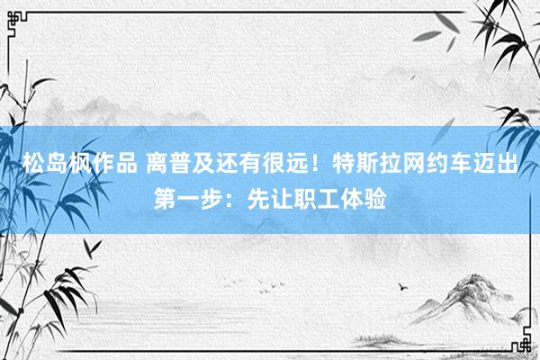 松岛枫作品 离普及还有很远！特斯拉网约车迈出第一步：先让职工体验