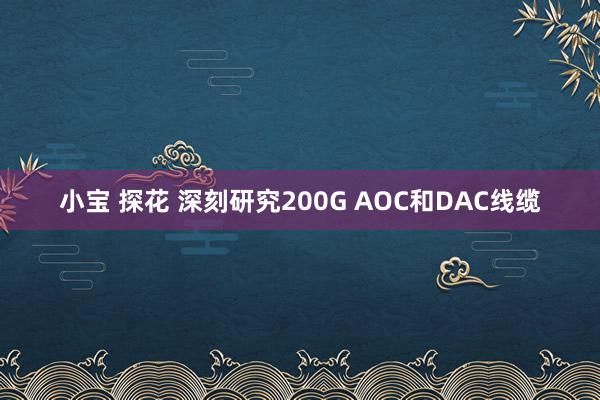 小宝 探花 深刻研究200G AOC和DAC线缆