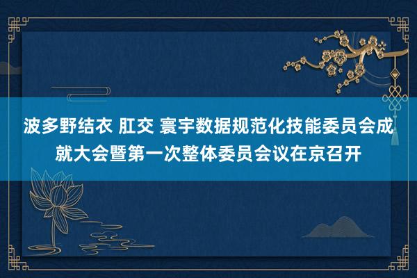 波多野结衣 肛交 寰宇数据规范化技能委员会成就大会暨第一次整体委员会议在京召开