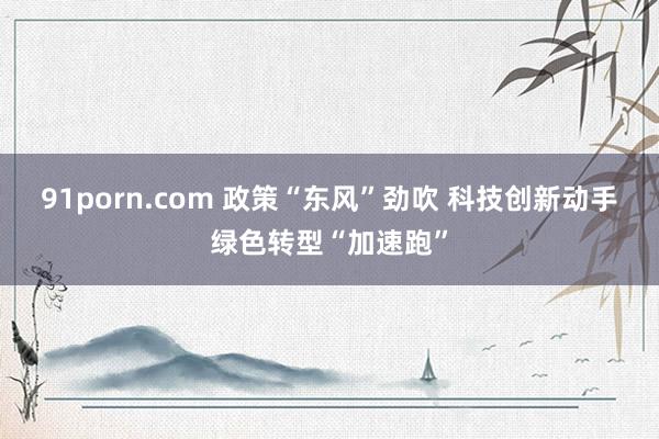 91porn.com 政策“东风”劲吹 科技创新动手绿色转型“加速跑”