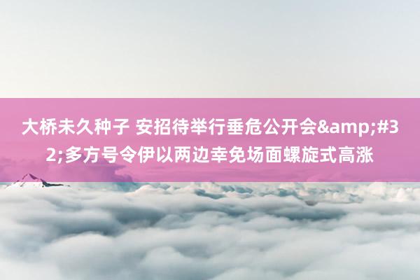 大桥未久种子 安招待举行垂危公开会&#32;多方号令伊以两边幸免场面螺旋式高涨