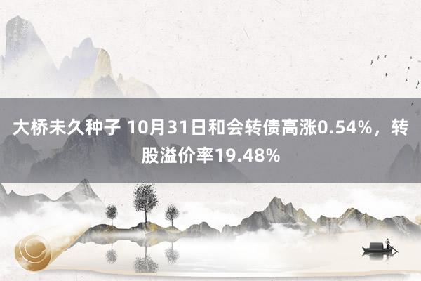 大桥未久种子 10月31日和会转债高涨0.54%，转股溢价率19.48%