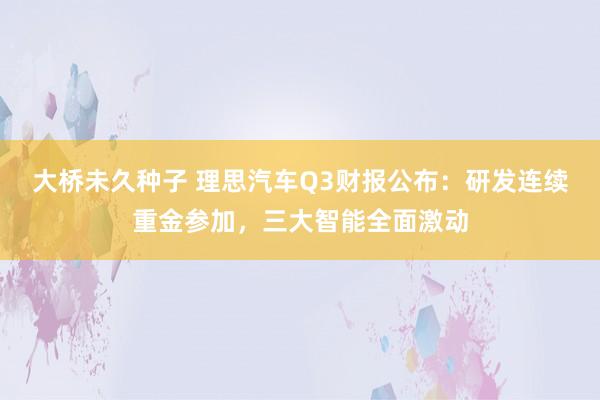 大桥未久种子 理思汽车Q3财报公布：研发连续重金参加，三大智能全面激动