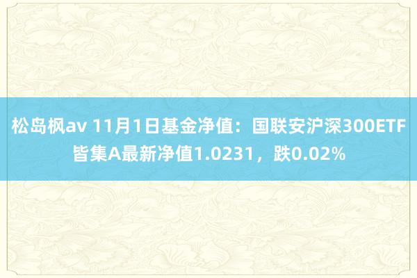 松岛枫av 11月1日基金净值：国联安沪深300ETF皆集A最新净值1.0231，跌0.02%