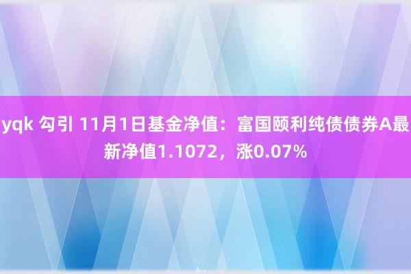 yqk 勾引 11月1日基金净值：富国颐利纯债债券A最新净值1.1072，涨0.07%