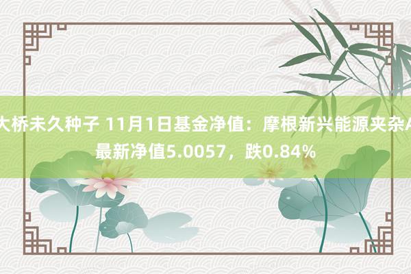 大桥未久种子 11月1日基金净值：摩根新兴能源夹杂A最新净值5.0057，跌0.84%