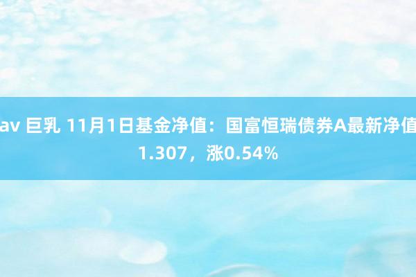 av 巨乳 11月1日基金净值：国富恒瑞债券A最新净值1.307，涨0.54%