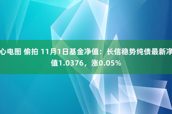 心电图 偷拍 11月1日基金净值：长信稳势纯债最新净值1.0376，涨0.05%