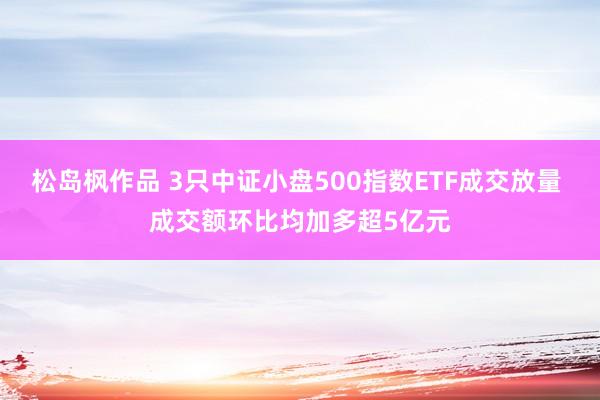 松岛枫作品 3只中证小盘500指数ETF成交放量 成交额环比均加多超5亿元