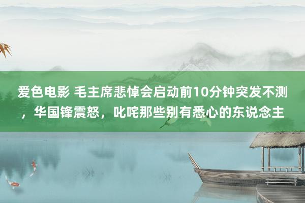 爱色电影 毛主席悲悼会启动前10分钟突发不测，华国锋震怒，叱咤那些别有悉心的东说念主