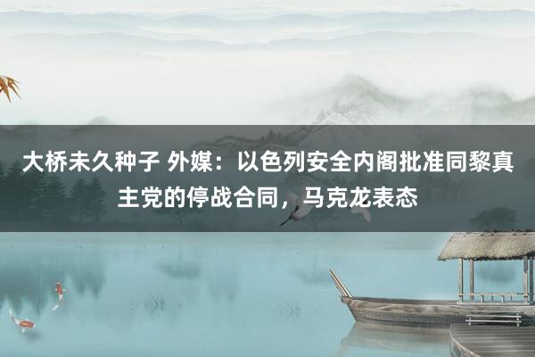 大桥未久种子 外媒：以色列安全内阁批准同黎真主党的停战合同，马克龙表态