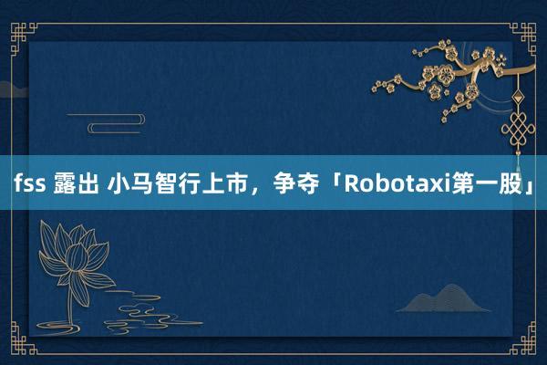 fss 露出 小马智行上市，争夺「Robotaxi第一股」