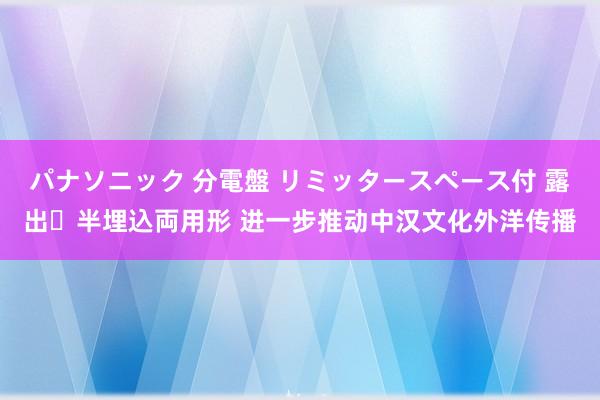 パナソニック 分電盤 リミッタースペース付 露出・半埋込両用形 进一步推动中汉文化外洋传播