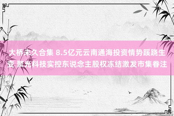 大桥未久合集 8.5亿元云南通海投资情势蹊跷生变 聚光科技实控东说念主股权冻结激发市集眷注