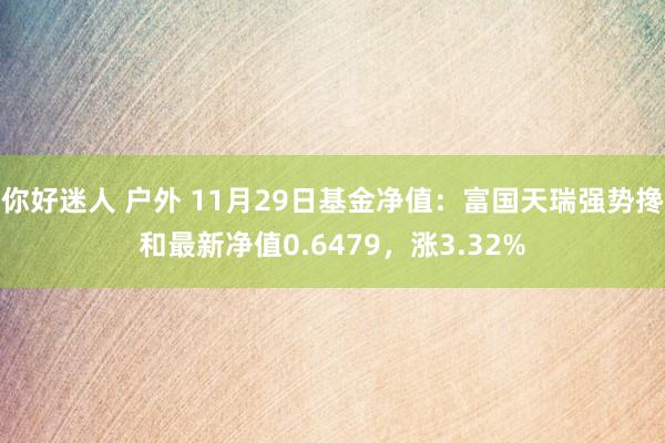 你好迷人 户外 11月29日基金净值：富国天瑞强势搀和最新净值0.6479，涨3.32%