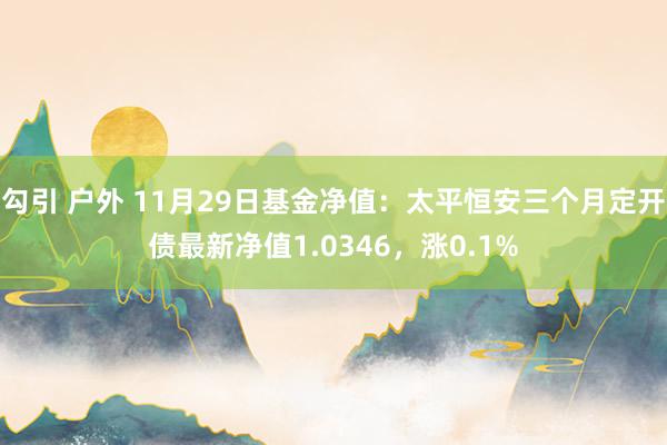 勾引 户外 11月29日基金净值：太平恒安三个月定开债最新净值1.0346，涨0.1%