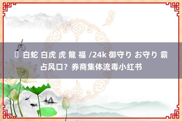 ✨白蛇 白虎 虎 龍 福 /24k 御守り お守り 霸占风口？券商集体流毒小红书