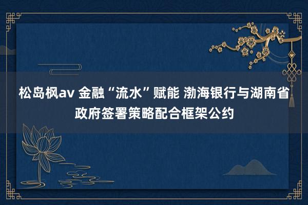 松岛枫av 金融“流水”赋能 渤海银行与湖南省政府签署策略配合框架公约