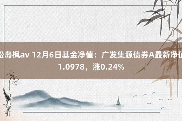 松岛枫av 12月6日基金净值：广发集源债券A最新净值1.0978，涨0.24%