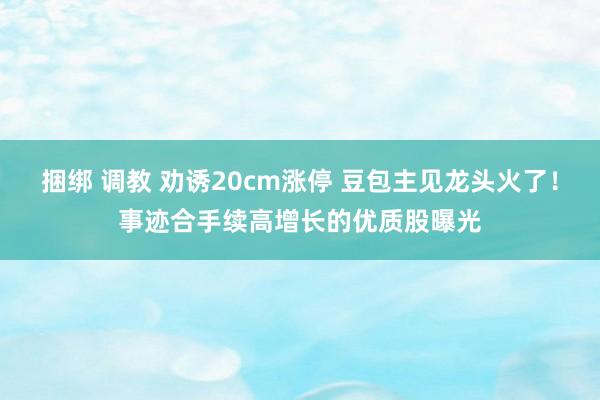 捆绑 调教 劝诱20cm涨停 豆包主见龙头火了！事迹合手续高增长的优质股曝光