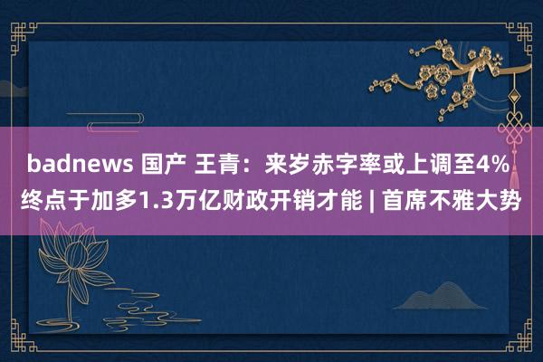 badnews 国产 王青：来岁赤字率或上调至4% 终点于加多1.3万亿财政开销才能 | 首席不雅大势