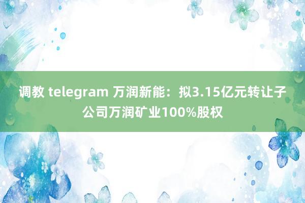 调教 telegram 万润新能：拟3.15亿元转让子公司万润矿业100%股权