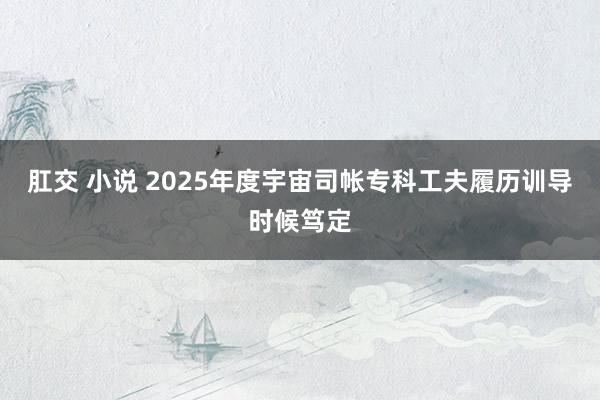 肛交 小说 2025年度宇宙司帐专科工夫履历训导时候笃定